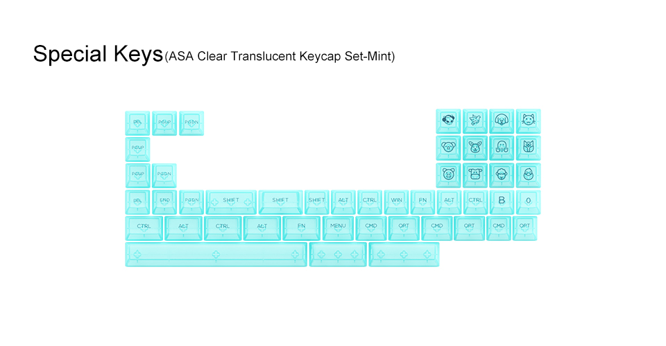 Keycap Akko ASA Clear Tiffany Blue H4