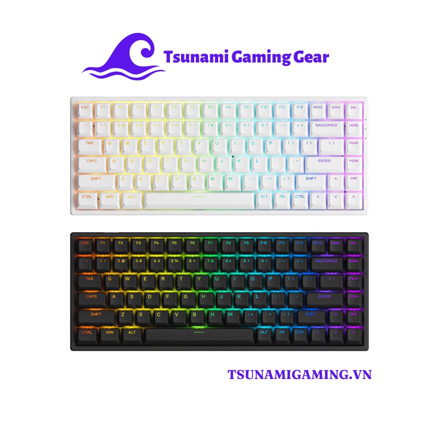 Bàn phím cơ Akko 3084 v2 RGB Avatar