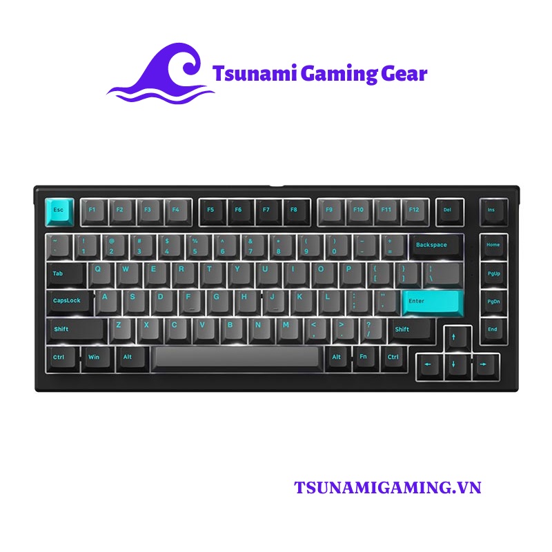 Bàn phím cơ MonsGeek MG75 Black Cyan H1