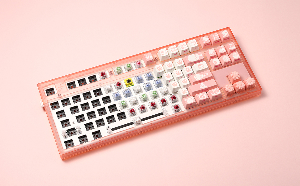 Kit bàn phím FL-Esports MK870 Clear Pink H5