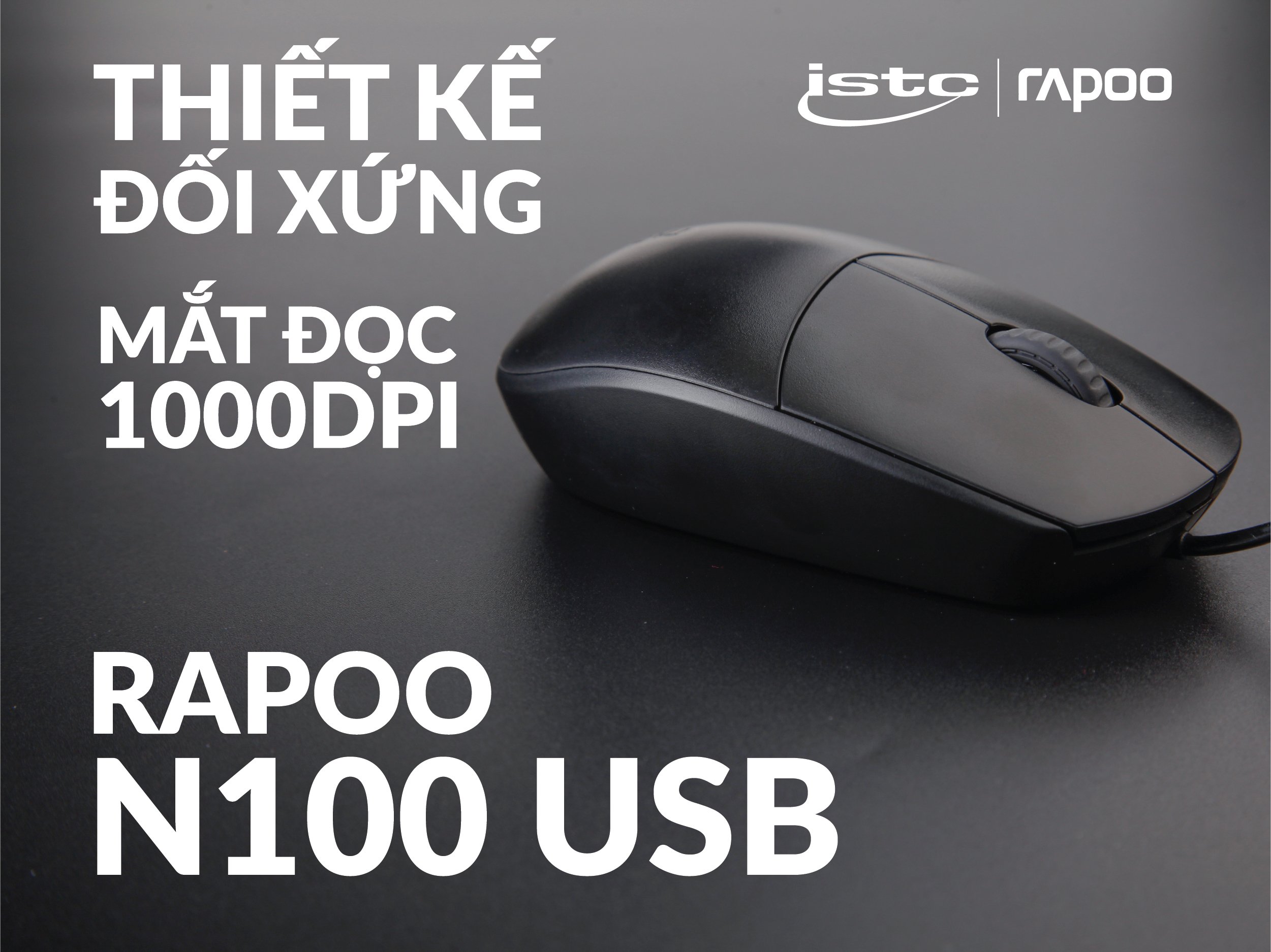 Chuột Rapoo N100 Black H3