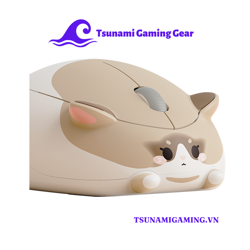 Chuột Akko Cat Ragdoll H2