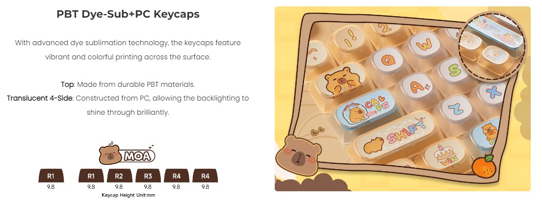 Keycap Akko Capybara Pudding H6