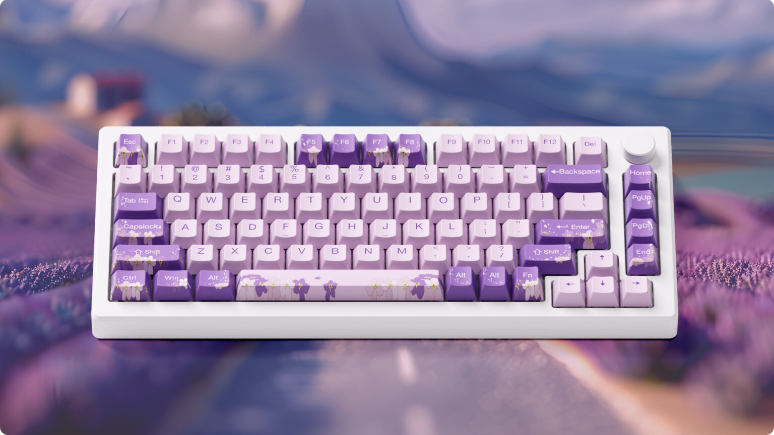 Bàn phím cơ Akko MOD007-HE PC Purple Melody H4